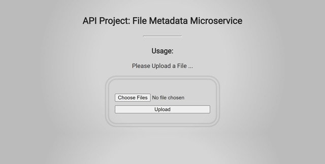 File Metadata Microservice image